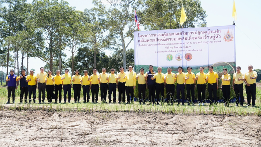 Ministry of Agriculture and Cooperatives Join forces to plant vetiver grass together all over the country.