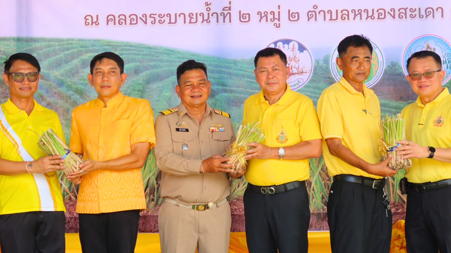 Ministry of Agriculture and Cooperatives Join forces to plant vetiver grass together all over the country.