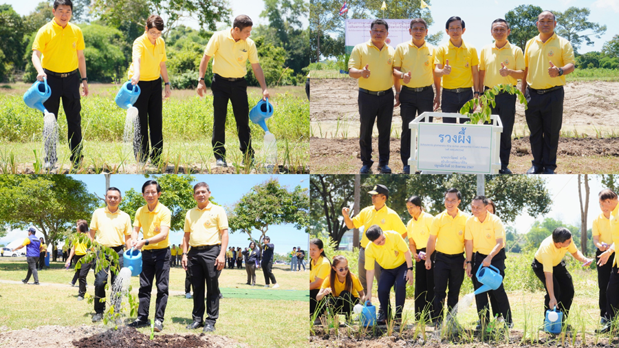 Ministry of Agriculture and Cooperatives Join forces to plant vetiver grass together all over the country.