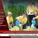 Ministry of Agriculture and Cooperatives Join forces to plant vetiver grass together all over the country.