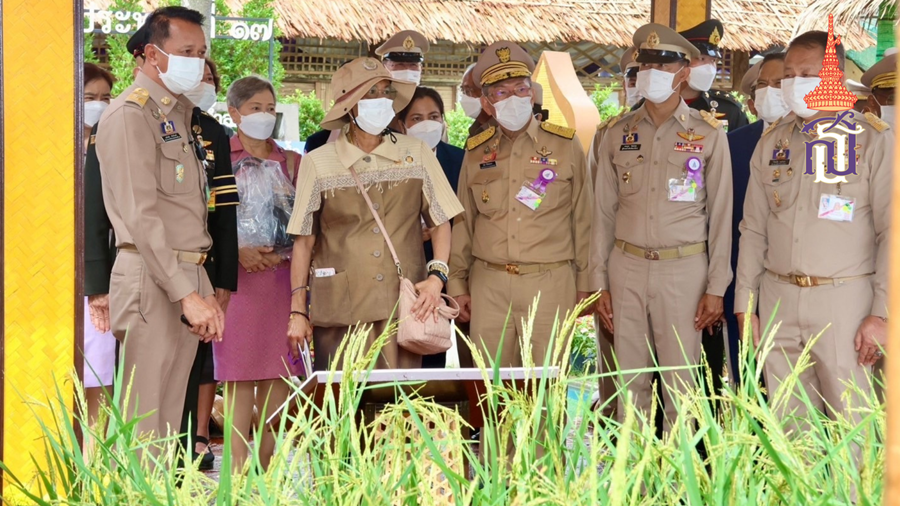 Royal Highness Prince Kanitthathirachao Her Royal Highness Princess Maha Chakri Sirindhorn 